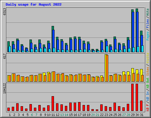 Daily usage for August 2022
