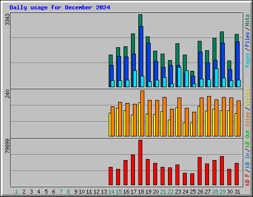 Daily usage for December 2024
