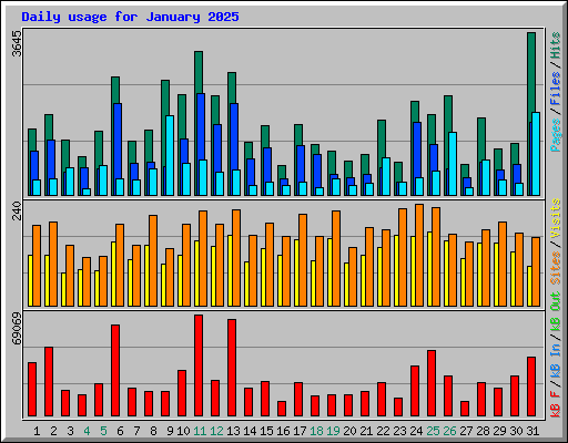 Daily usage for January 2025