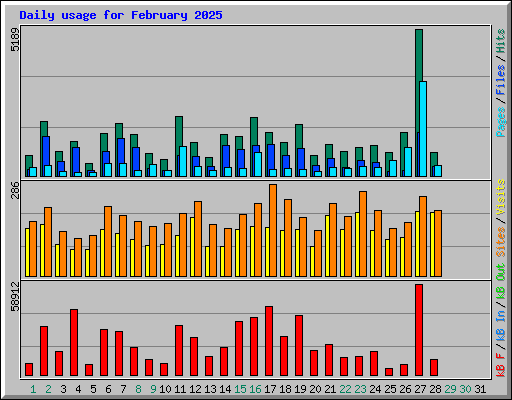 Daily usage for February 2025