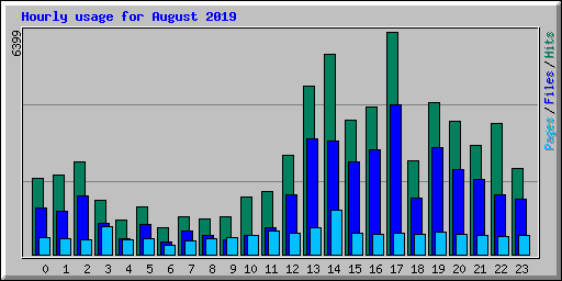 Hourly usage for August 2019