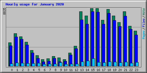 Hourly usage for January 2020