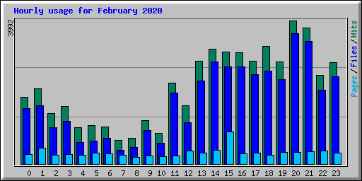Hourly usage for February 2020