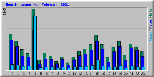 Hourly usage for February 2021