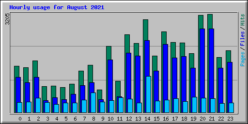 Hourly usage for August 2021