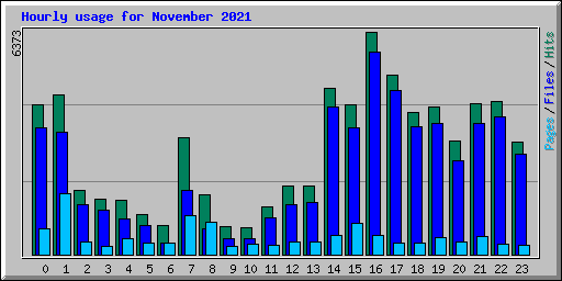 Hourly usage for November 2021