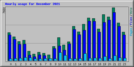 Hourly usage for December 2021