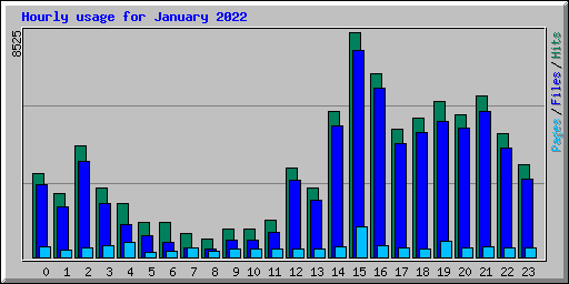 Hourly usage for January 2022