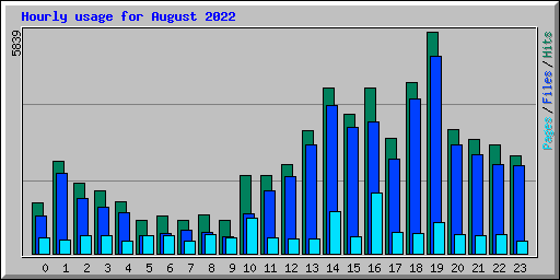Hourly usage for August 2022