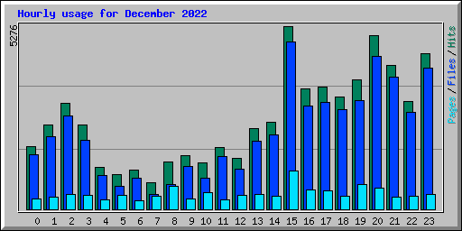 Hourly usage for December 2022