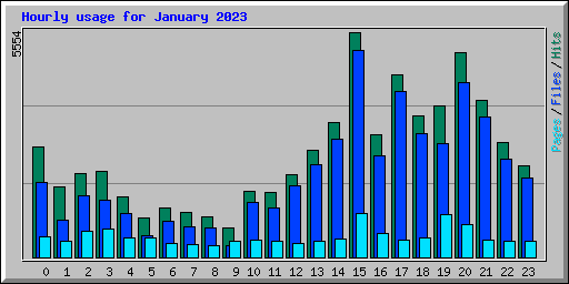 Hourly usage for January 2023