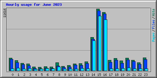 Hourly usage for June 2023
