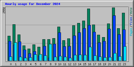 Hourly usage for December 2024