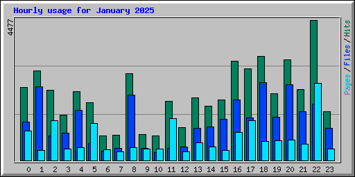 Hourly usage for January 2025