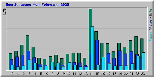 Hourly usage for February 2025