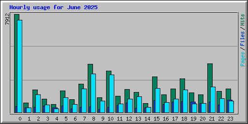 Hourly usage for June 2025