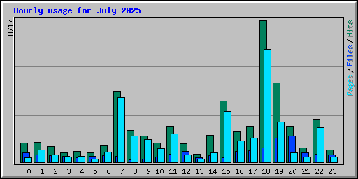 Hourly usage for July 2025